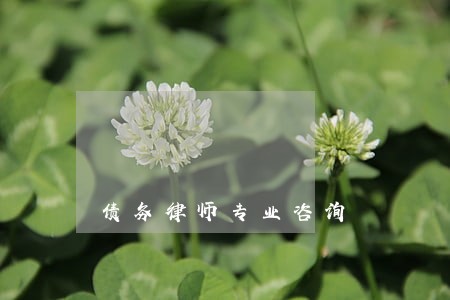 债务律师专业咨询 债务律师专业咨询