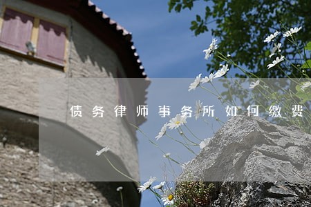 债务律师事务所如何缴费 债务律师事务所如何缴费
