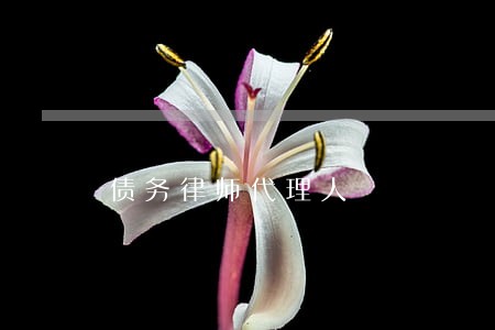 债务律师代理人