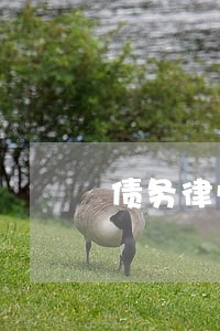 债务律师价格多少 债务律师价格多少
