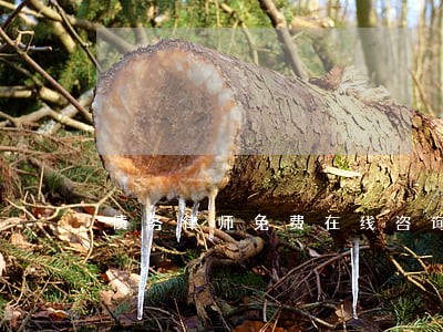 债务律师免费在线咨询官司 债务律师免费在线咨询官司