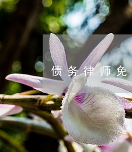 债务律师免费法律咨询 债务律师免费法律咨询