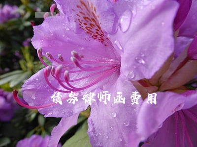 债务律师函费用 债务律师函费用