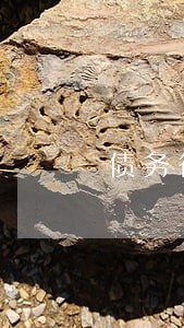 债务律师函起草律师代理 债务律师函起草律师代理