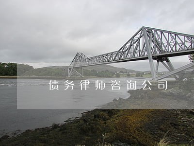 债务律师咨询公司