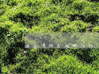 债务律师咨询哪位好 债务律师咨询哪位好