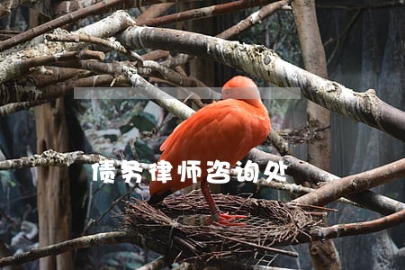债务律师咨询处 债务律师咨询处