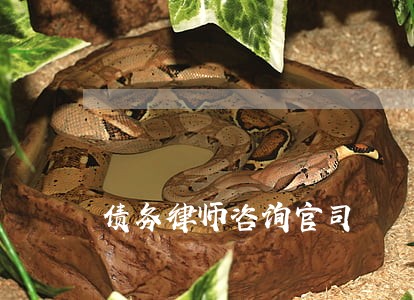 债务律师咨询官司 债务律师咨询官司