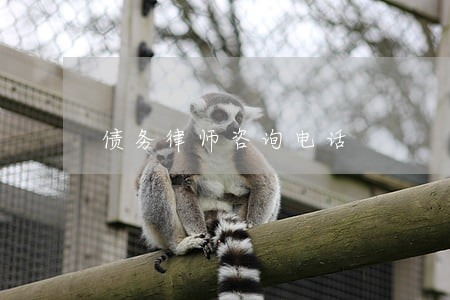 债务律师咨询电话 债务律师咨询电话