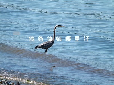 债务律师哪里好 债务律师哪里好