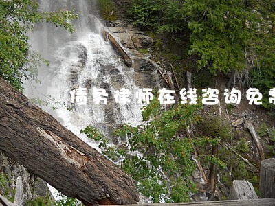 债务律师在线咨询免费 债务律师在线咨询免费