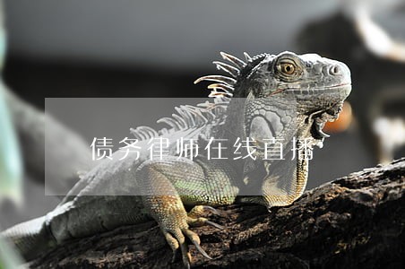 债务律师在线直播 债务律师在线直播
