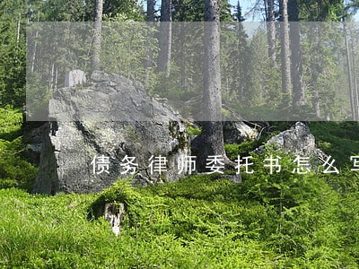 债务律师委托书怎么写 债务律师委托书怎么写