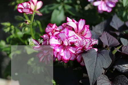 债务律师收费咨询 债务律师收费咨询