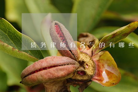 债务律师有名气的有哪些 债务律师有名气的有哪些