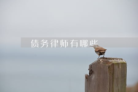 债务律师有哪些 债务律师有哪些