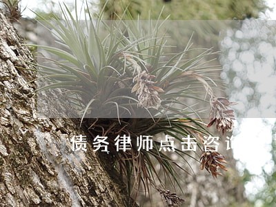 债务律师点击咨询 债务律师点击咨询