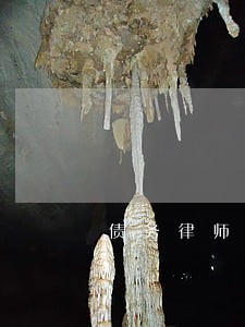 债务律师的费用是多少 债务律师的费用是多少