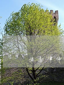 债务律师网律所招聘 债务律师网律所招聘