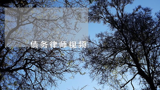 债务律师视频