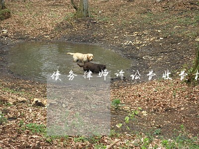 债务律师诉讼费收费标准 债务律师诉讼费收费标准