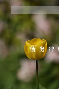 债务律师责任