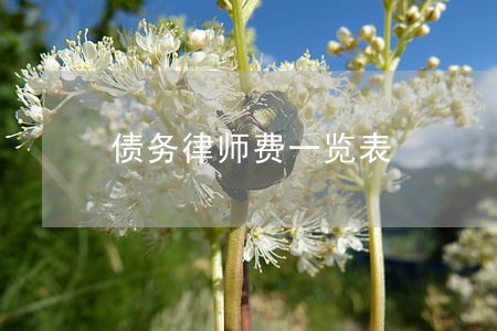 债务律师费一览表 债务律师费一览表