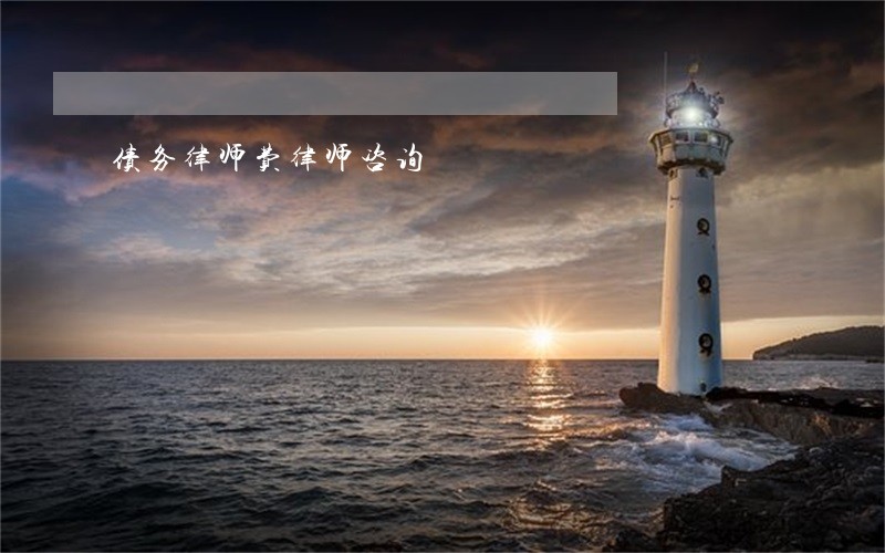 债务律师费律师咨询 债务律师费律师咨询