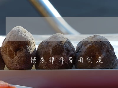 债务律师费用制度 债务律师费用制度
