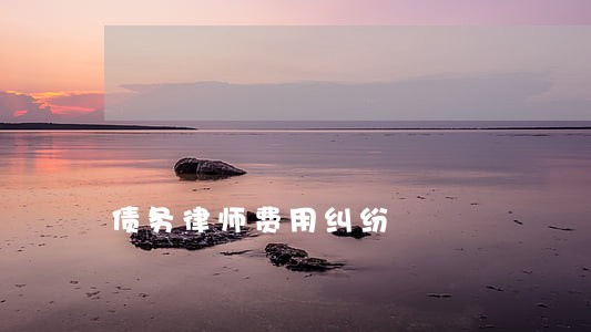 债务律师费用纠纷 债务律师费用纠纷