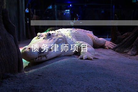 债务律师项目 债务律师项目