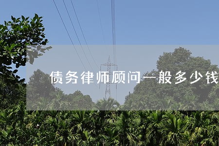 债务律师顾问一般多少钱 债务律师顾问一般多少钱