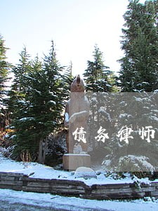 债务律师顾问哪家好咨询 债务律师顾问哪家好咨询