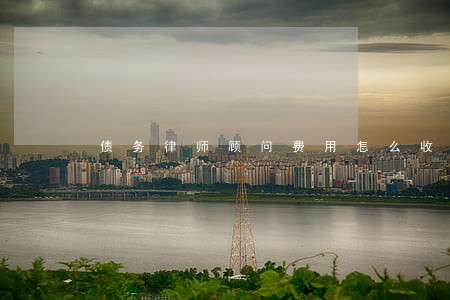 债务律师顾问费用怎么收 债务律师顾问费用怎么收