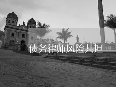 债务律师风险共担