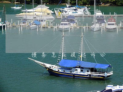债务怎么提起诉讼 债务怎么提起诉讼