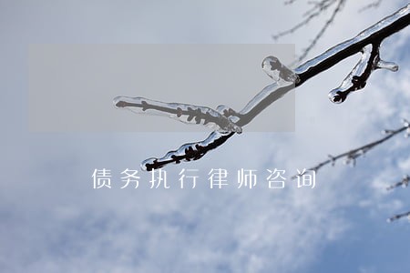 债务执行律师咨询 债务执行律师咨询