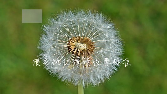 债务执行律师收费标准 债务执行律师收费标准