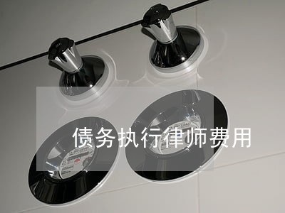 债务执行律师费用 债务执行律师费用
