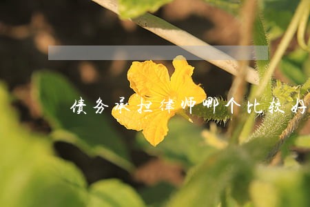 债务承担律师哪个比较好 债务承担律师哪个比较好