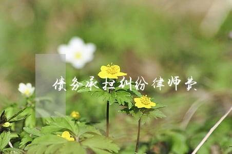 债务承担纠纷律师费 债务承担纠纷律师费