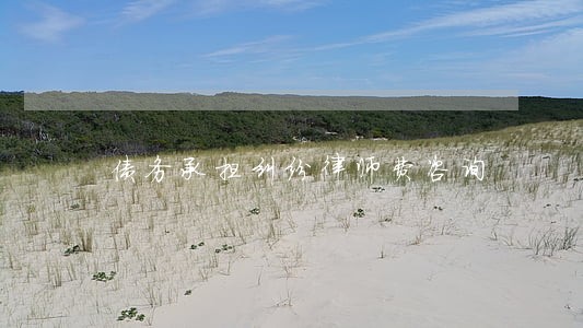 债务承担纠纷律师费咨询 债务承担纠纷律师费咨询