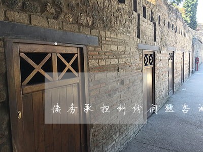 债务承担纠纷问题咨询律师 债务承担纠纷问题咨询律师