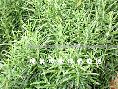 债务抵消律师电话 债务抵消律师电话