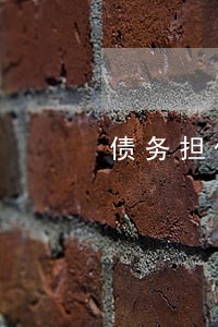 债务担保律师咨询 债务担保律师咨询