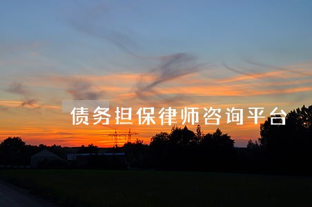 债务担保律师咨询平台 债务担保律师咨询平台