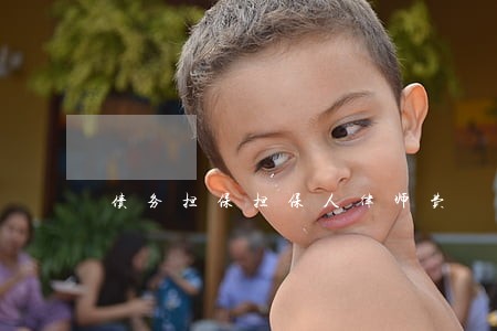 债务担保担保人律师费