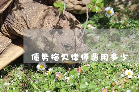债务拖欠律师费用多少 债务拖欠律师费用多少