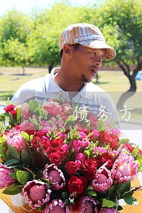 债务方面律师哪个好 债务方面律师哪个好