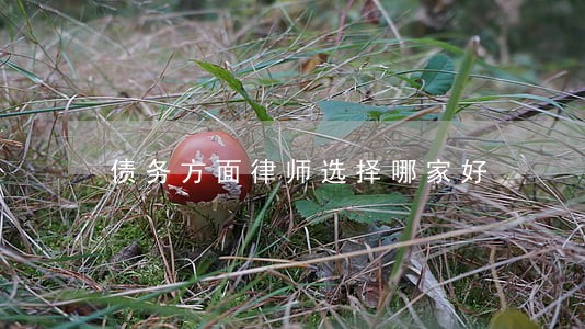 债务方面律师选择哪家好 债务方面律师选择哪家好